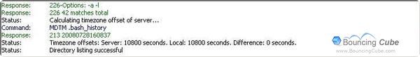 Filezilla Log