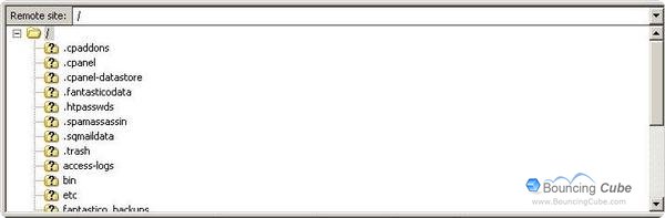 Filezilla Log